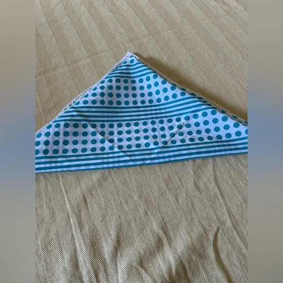Teal Polka Dot and Stripe Scarf - Picture 4 of 5